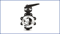 Intervalve-Sleevelined-Butterfly-Valves-In-Chennai